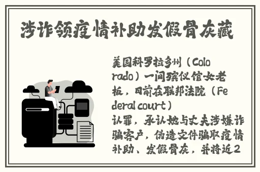 速播下载教程